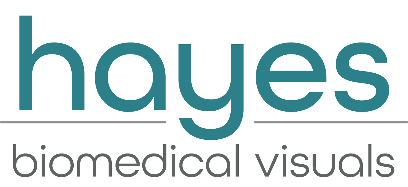 Hayes Biomedical Visuals