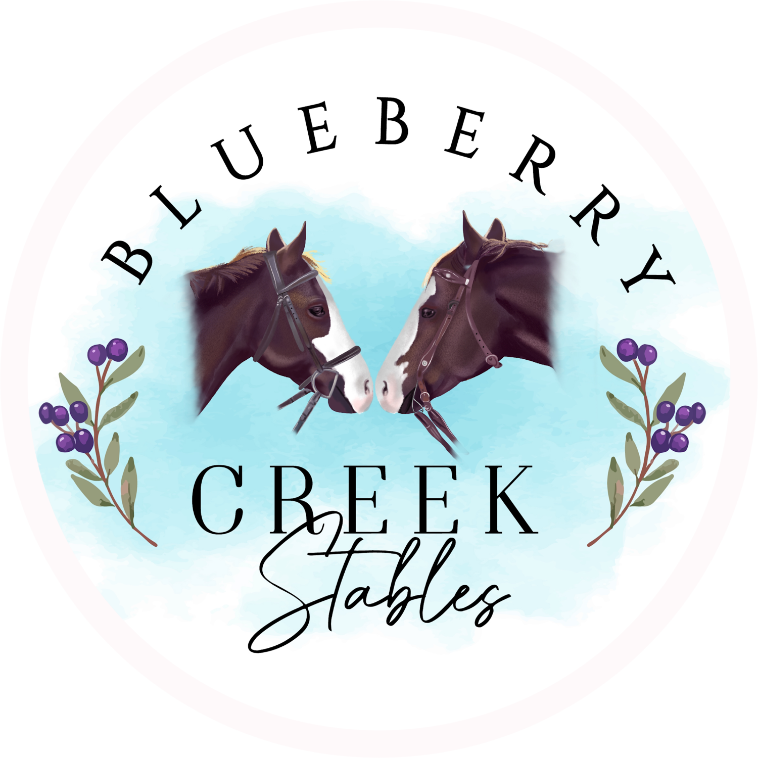 Blueberry Creek Stables