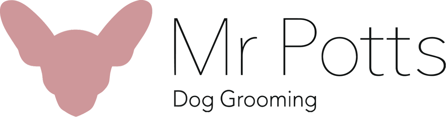 Mr Potts | Dog Grooming