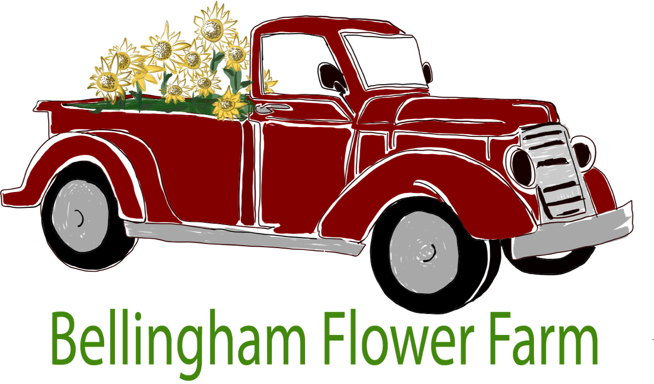 Bellingham Flower Farm