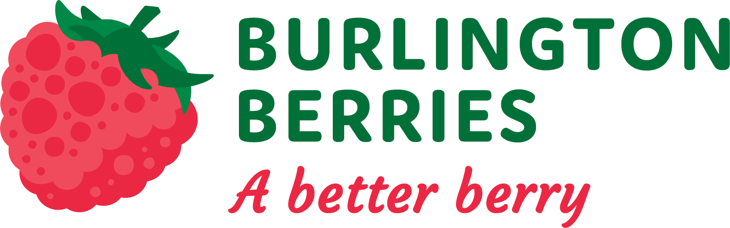 Burlington Berries