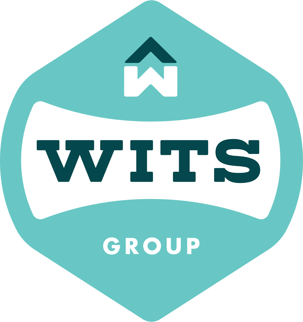 Wits Group