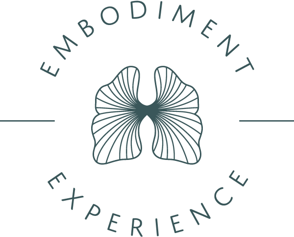 Embodiment Experience