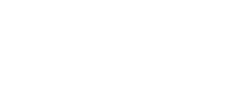 BAMI, LLC