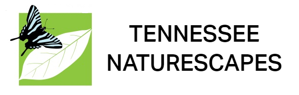 Tennessee Naturescapes 