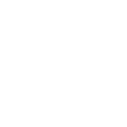 NYC Polo Club at Haviland Hollow Farm