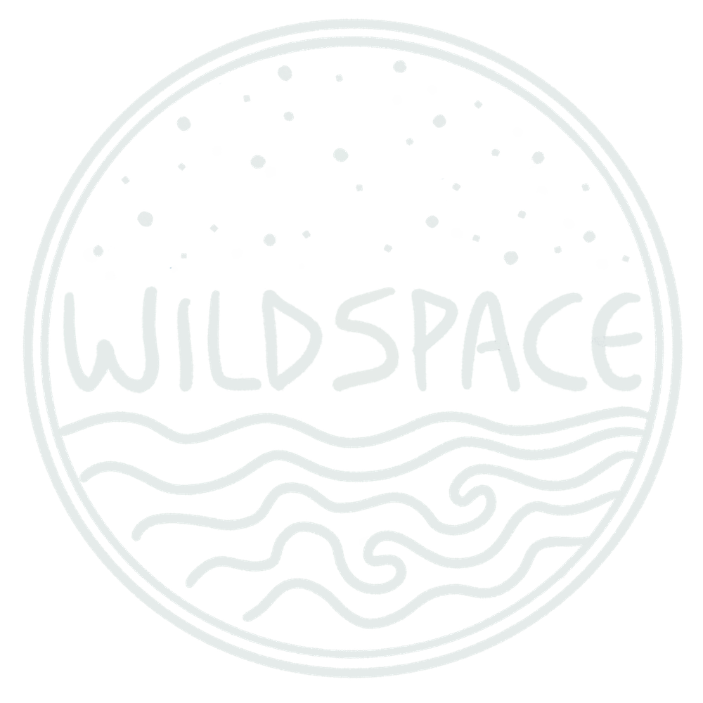  Wildspace -  Anna Du Ve