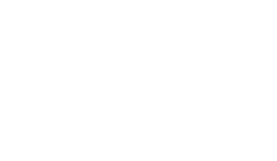 Briana Fillers - Rebranding Strategist