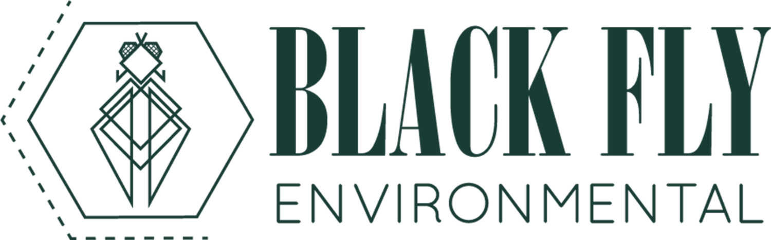 Black Fly Environmental