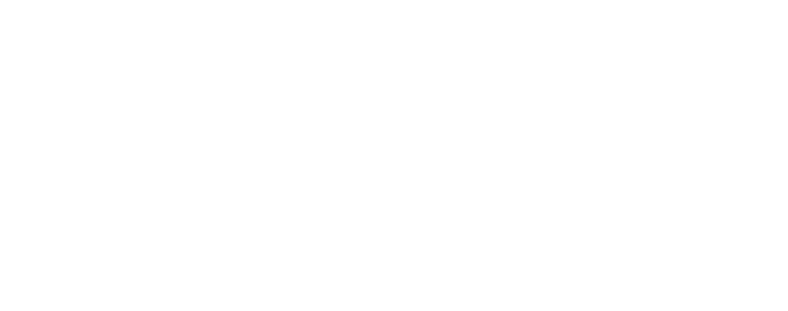 Sivetz Roasting Machines