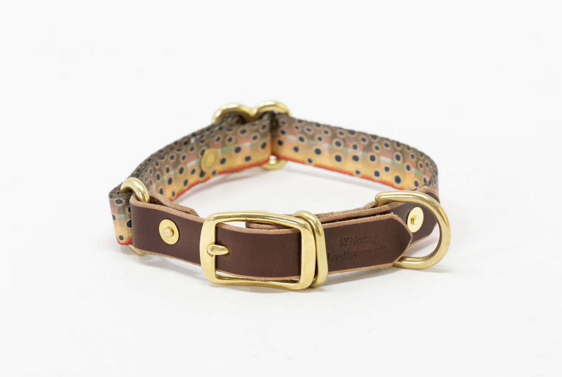 reservation Illuminate Laugh Cutthroat Trout Adjustable Webbing Dog Collar — Jackson Grey Jewelers