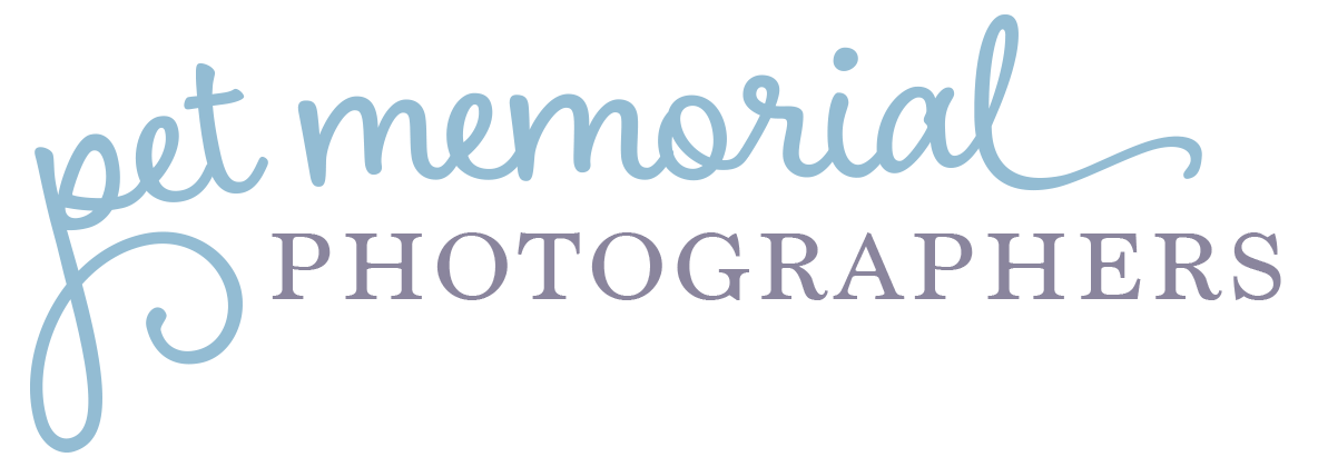 Pet Memorial Photographers