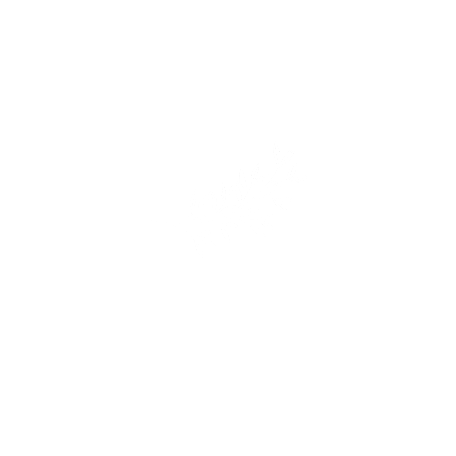 Balearic Retreats