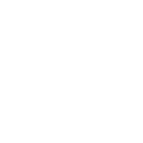 Jelina Shah Consulting