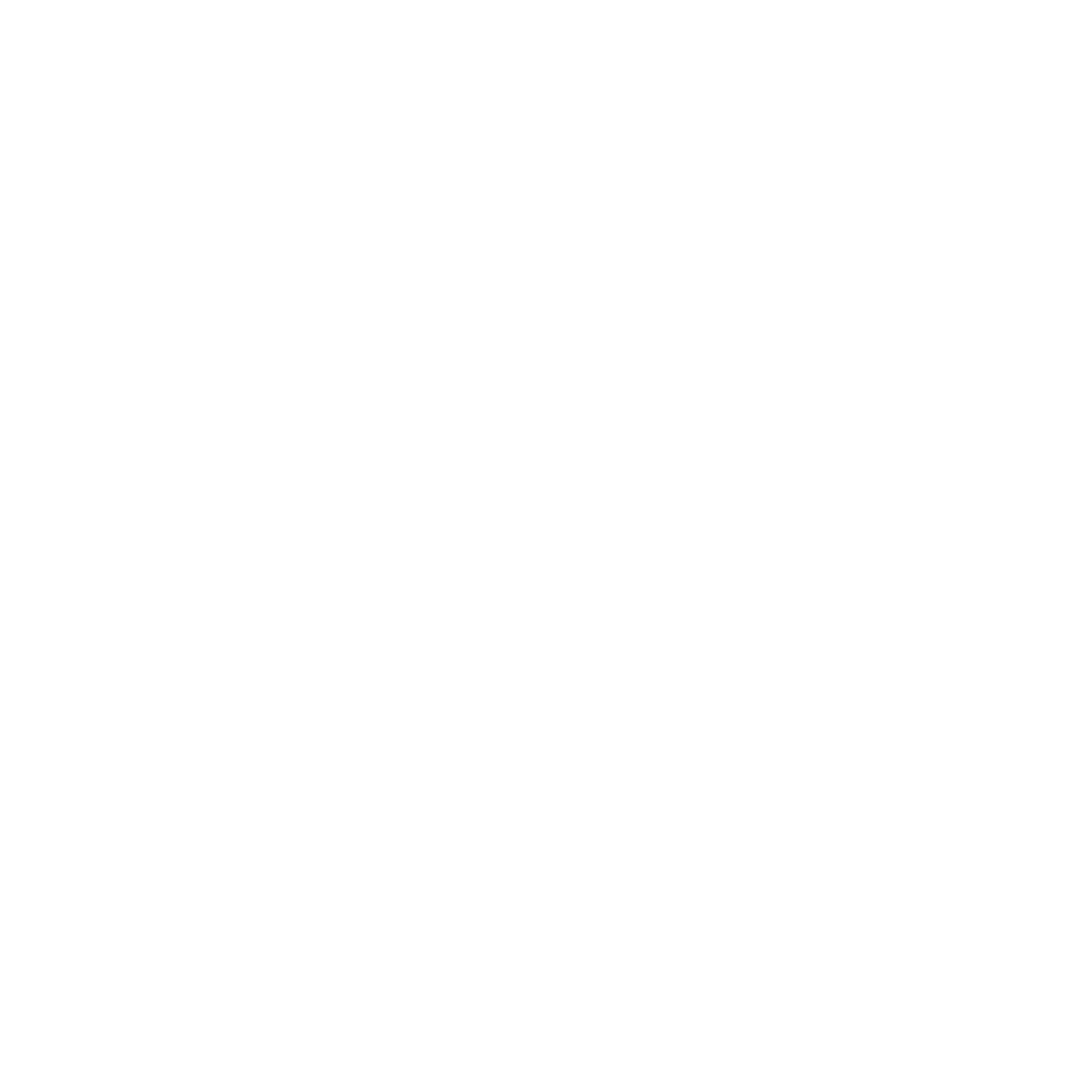 Looking To Understand Inclusion