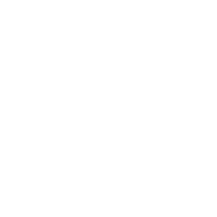 Looking To Understand Inclusion