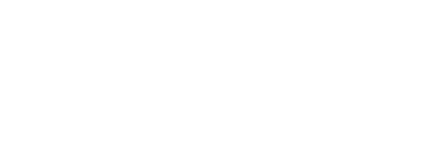 The Sports Bra