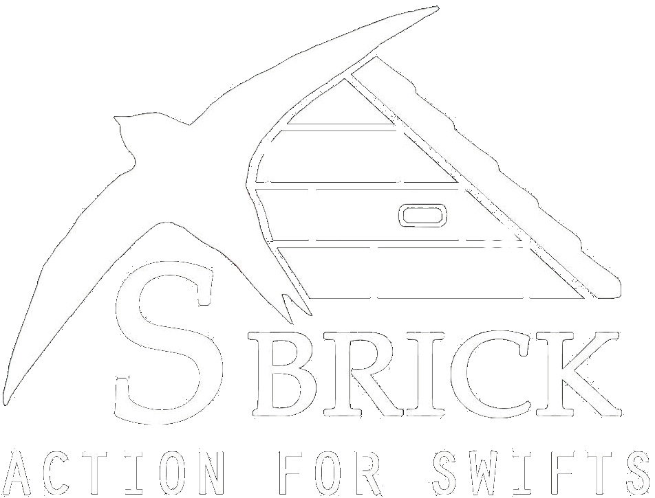 S Brick