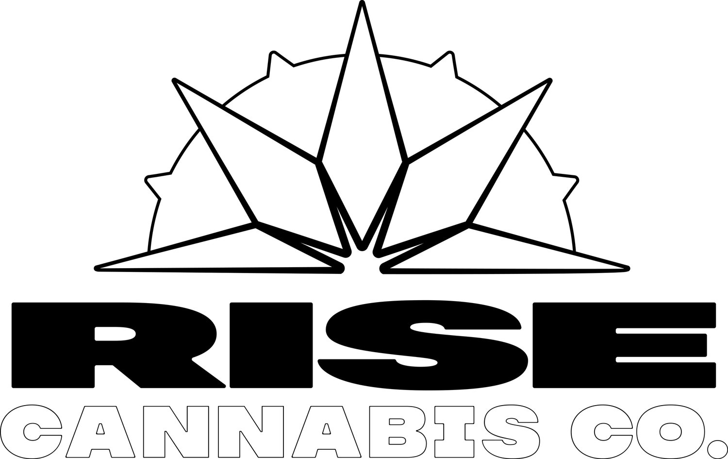 Rise Cannabis Co.