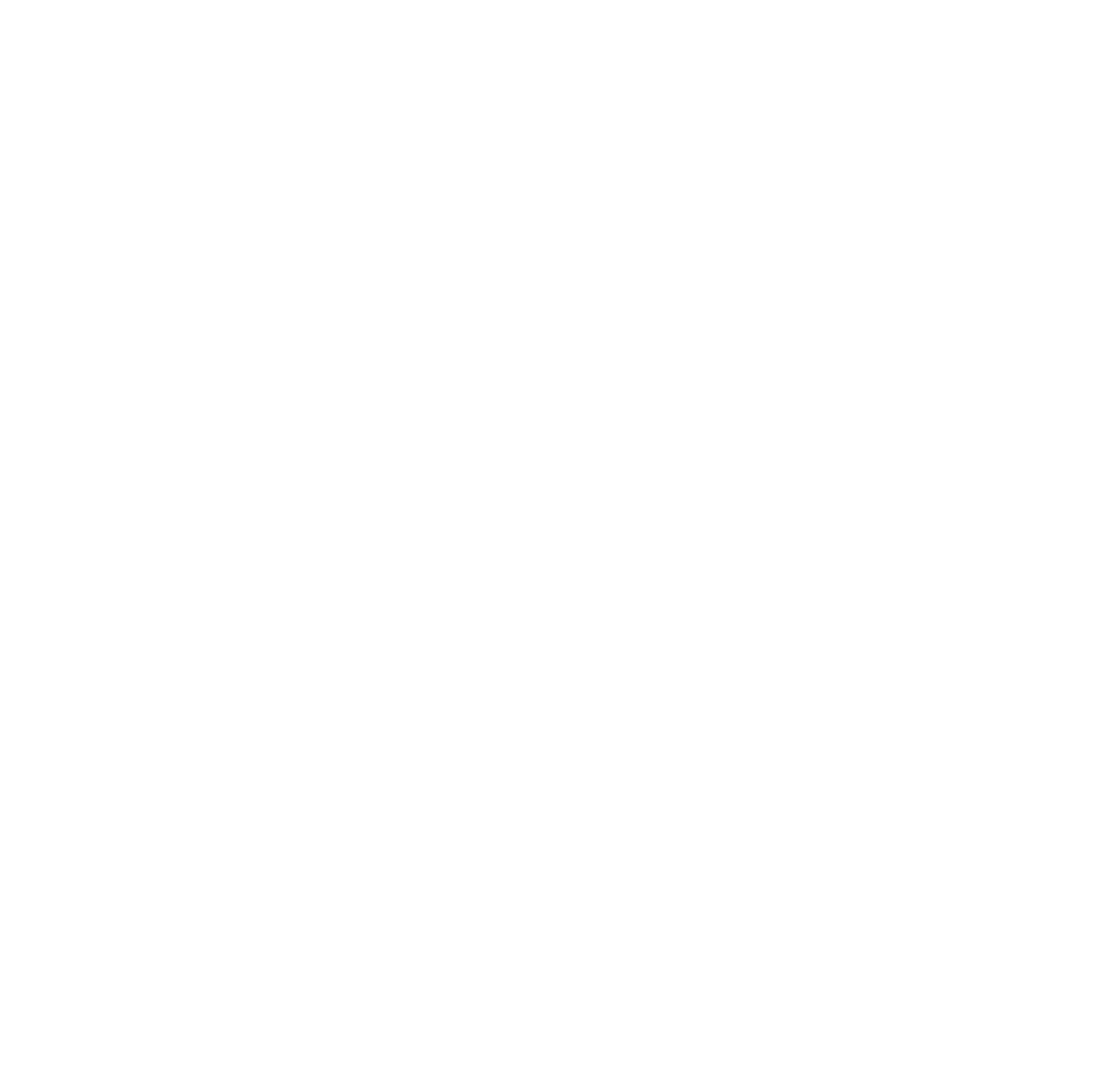 L21 Consulting