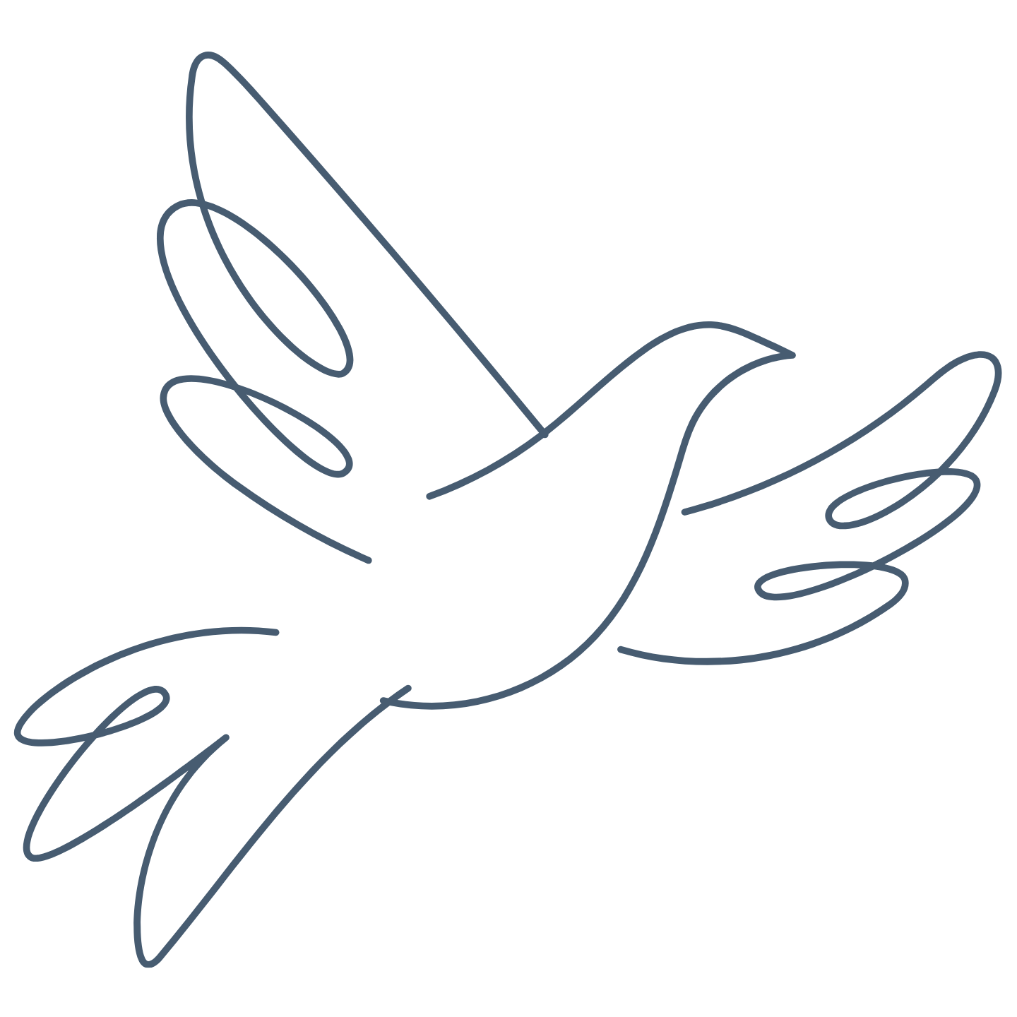 Robin S Hengel