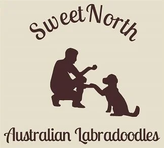 SweetNorth Labradoodles 