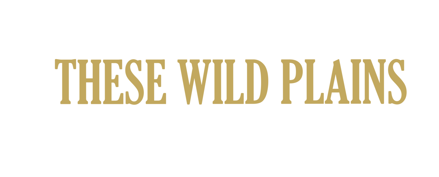 These Wild Plains