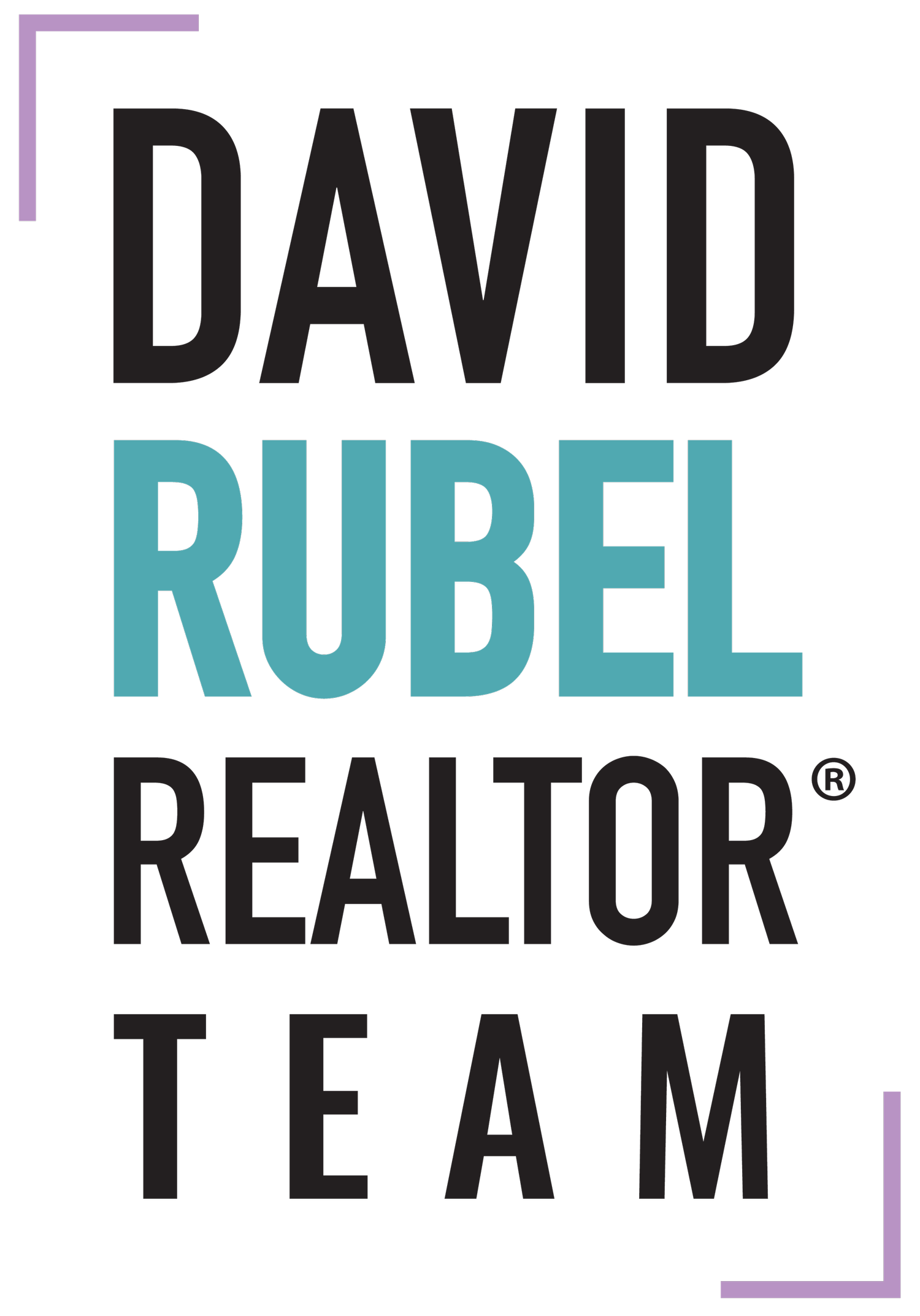 David Rubel Realtor