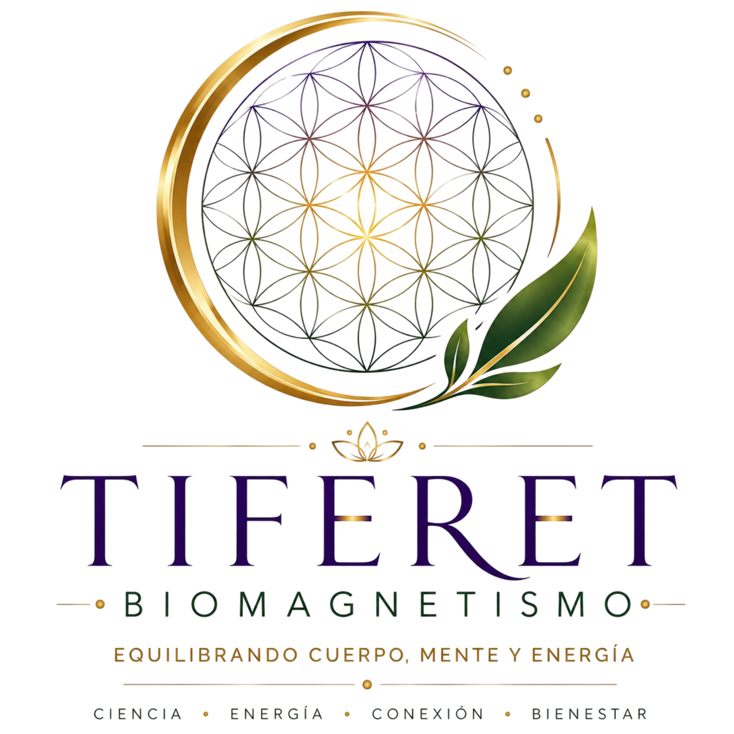 Tiferet Biogmagnetismo Integrativo