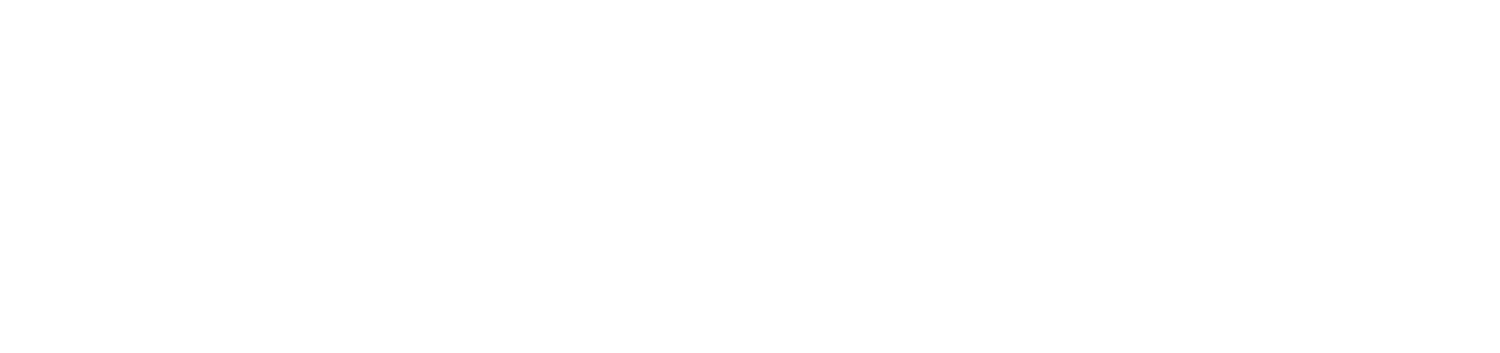 Dana Smith Wellness