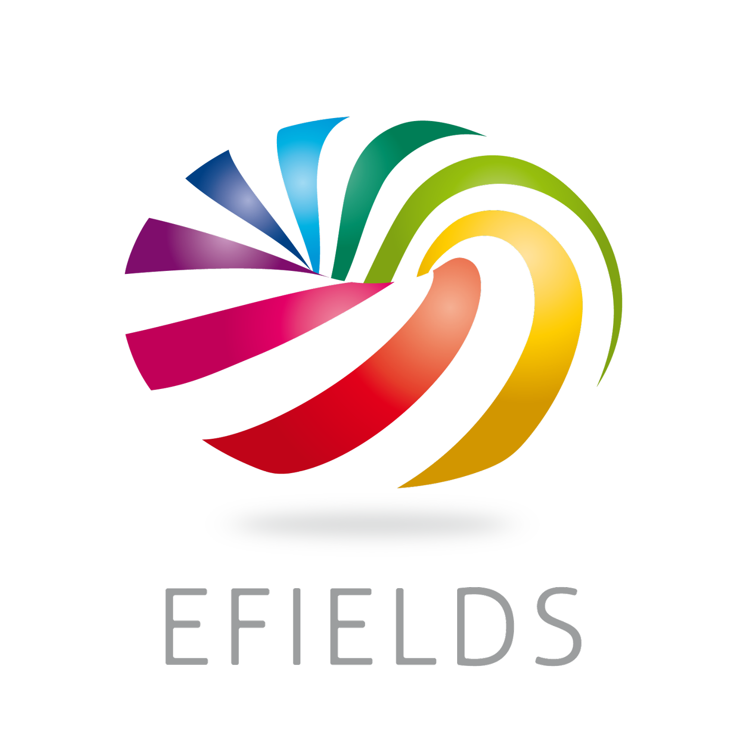 EFIELDS Coaching - Detlef Eimler
