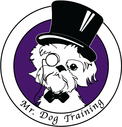 Mr. Dog Training 