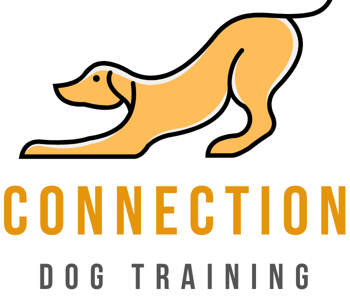 Connection Dog Training