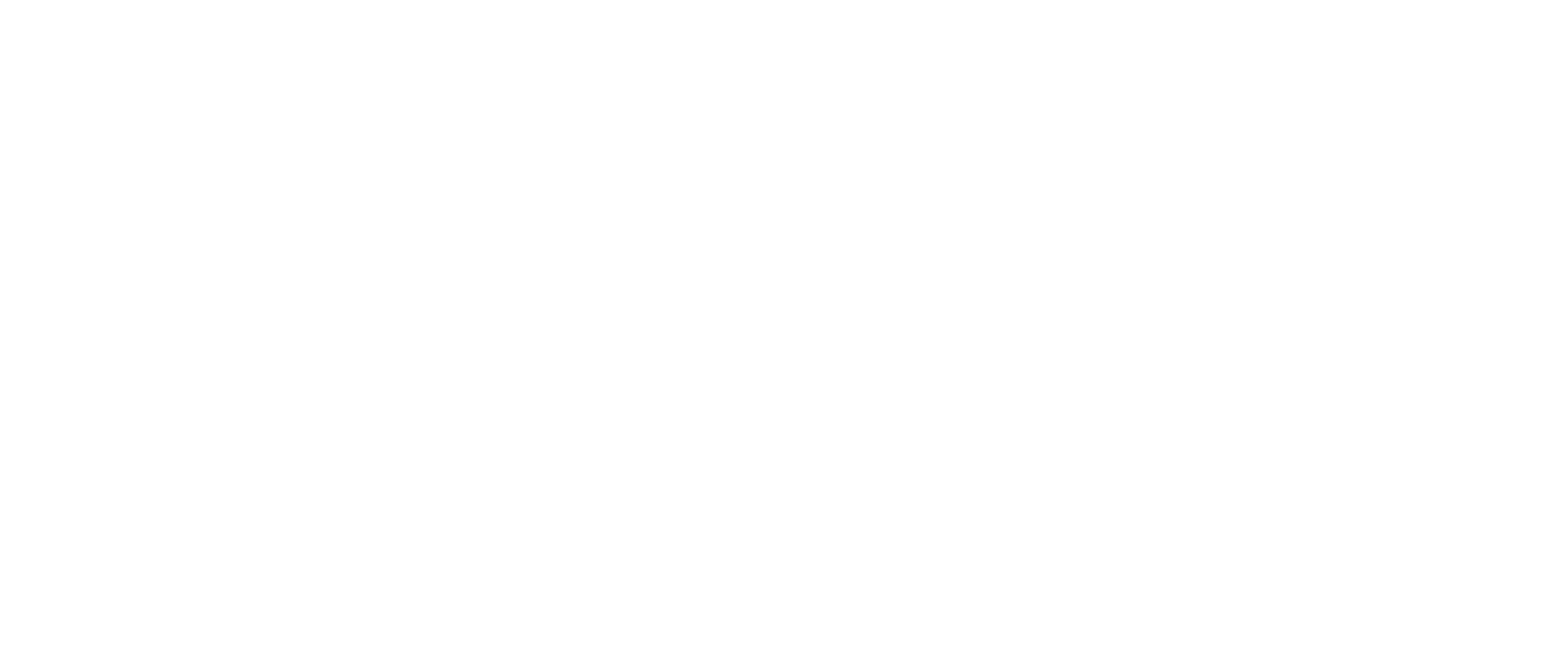 UNN STENEVIK