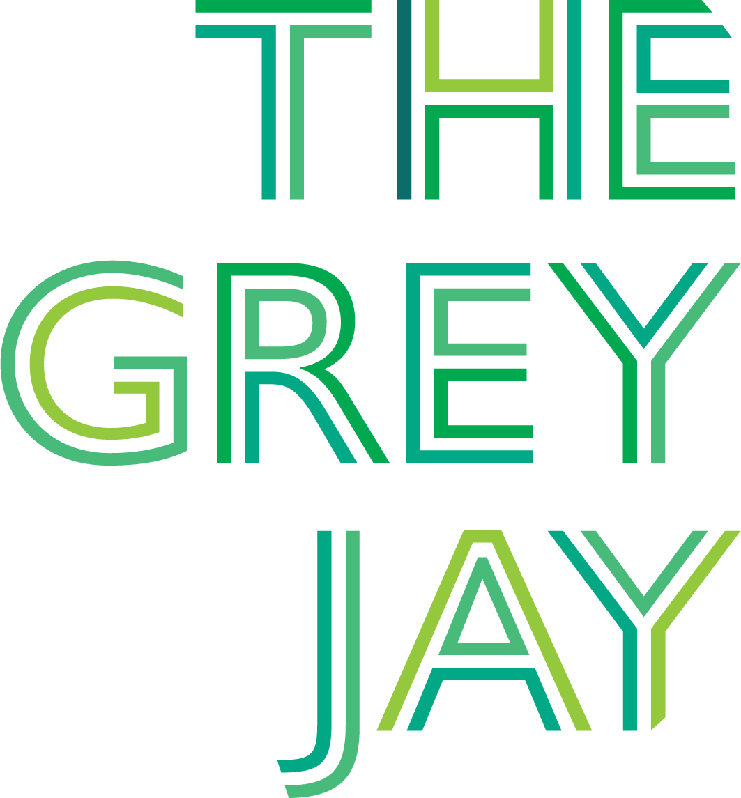 The Grey Jay