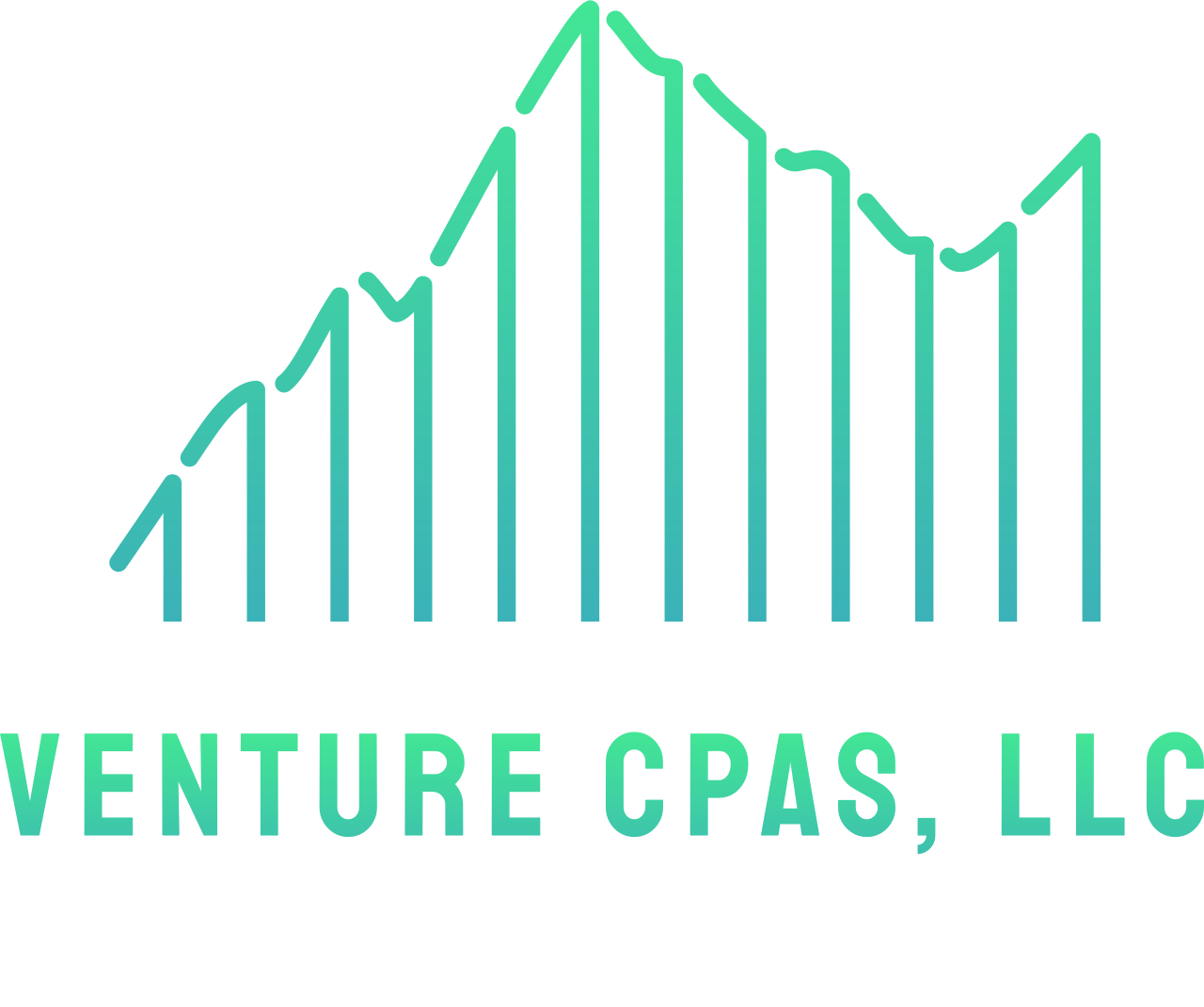 Venture CPAs, LLC