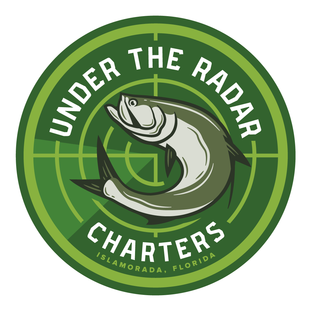 Under The Radar Charters
