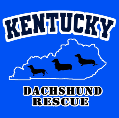 Kentucky Dachshund Rescue