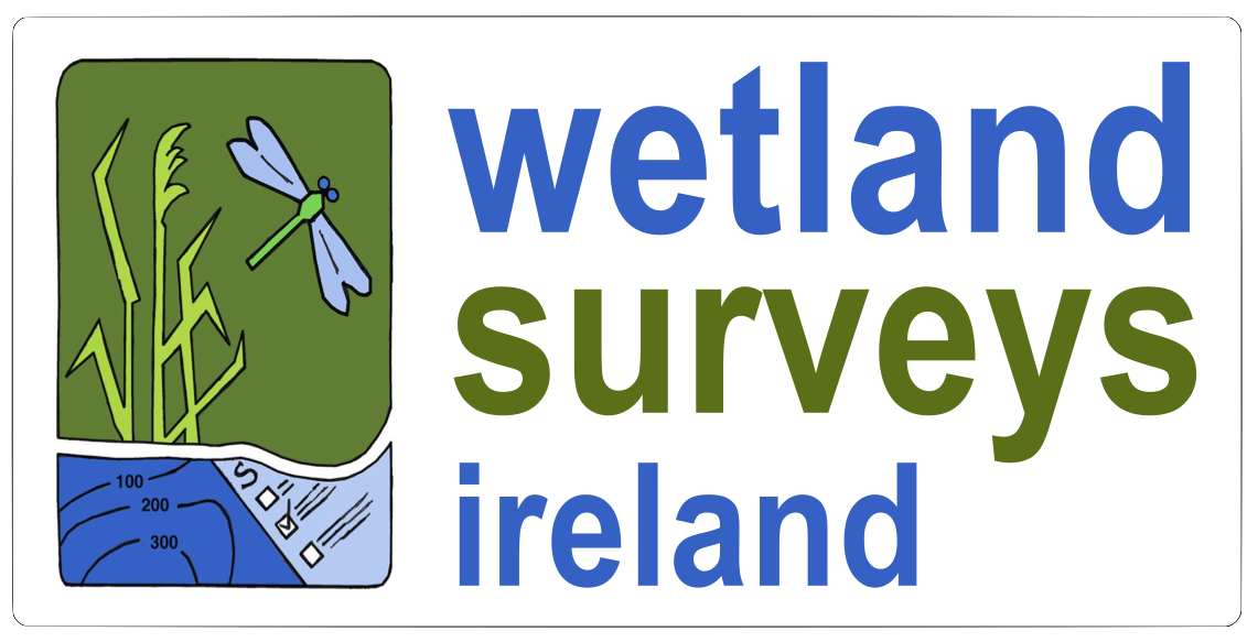 Wetland Surveys