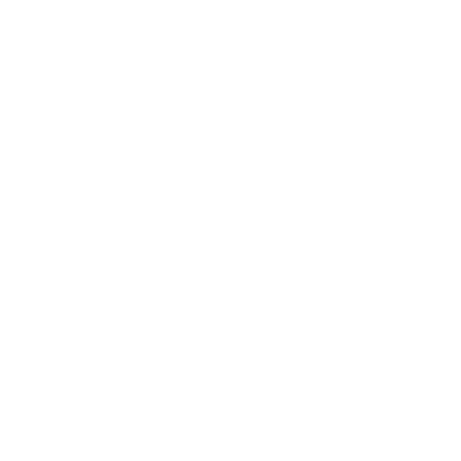 Breanna Lashell / Non-Profit Coach