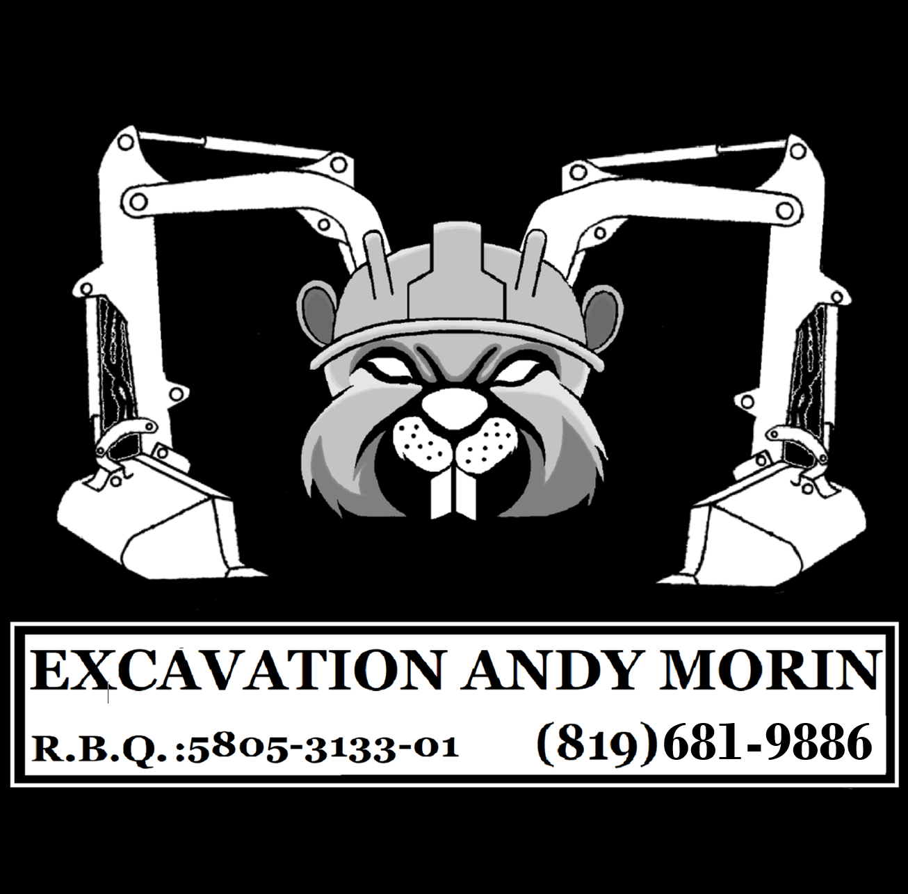 EXCAVATION ANDY MORIN