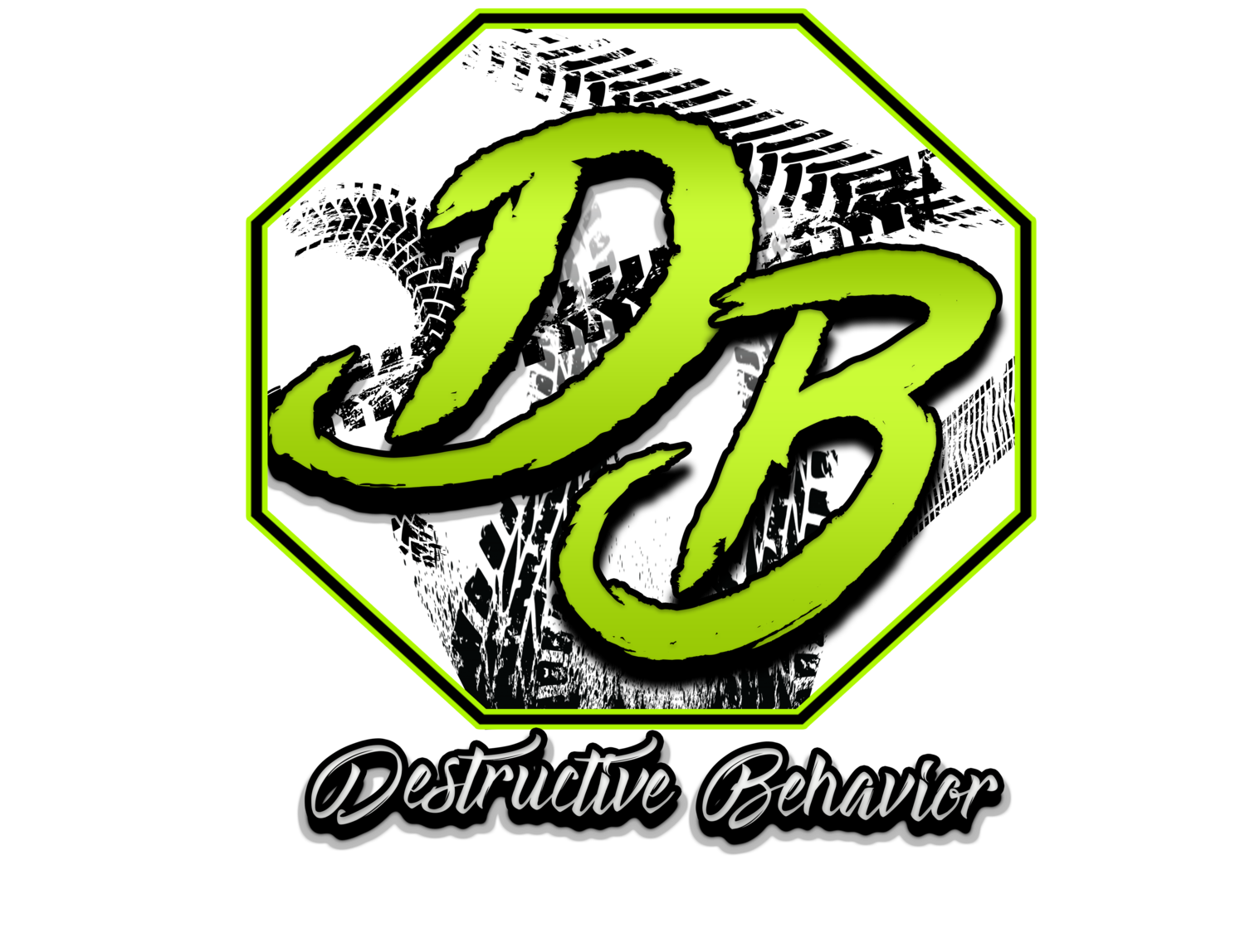 Destructive Behavior