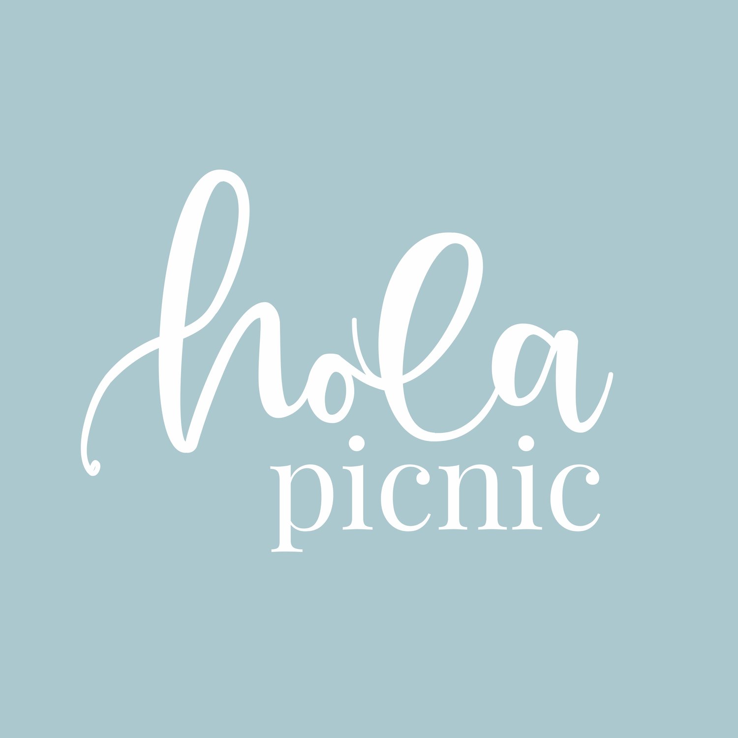 Hola Picnic Boston