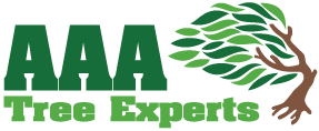 AAA Tree Experts