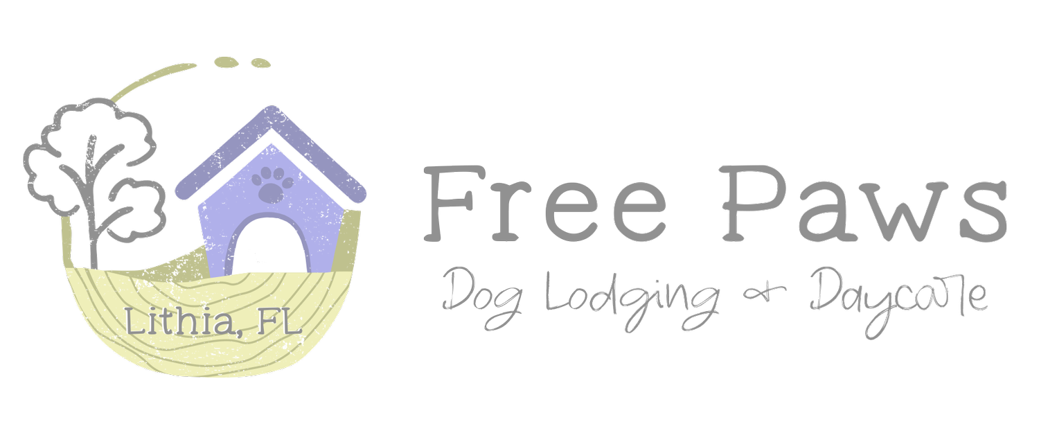 Free Paws Dog Lodging &amp; Daycare 