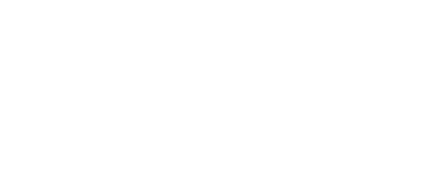 Solo Mio Photography - Miami Professional Photographer 