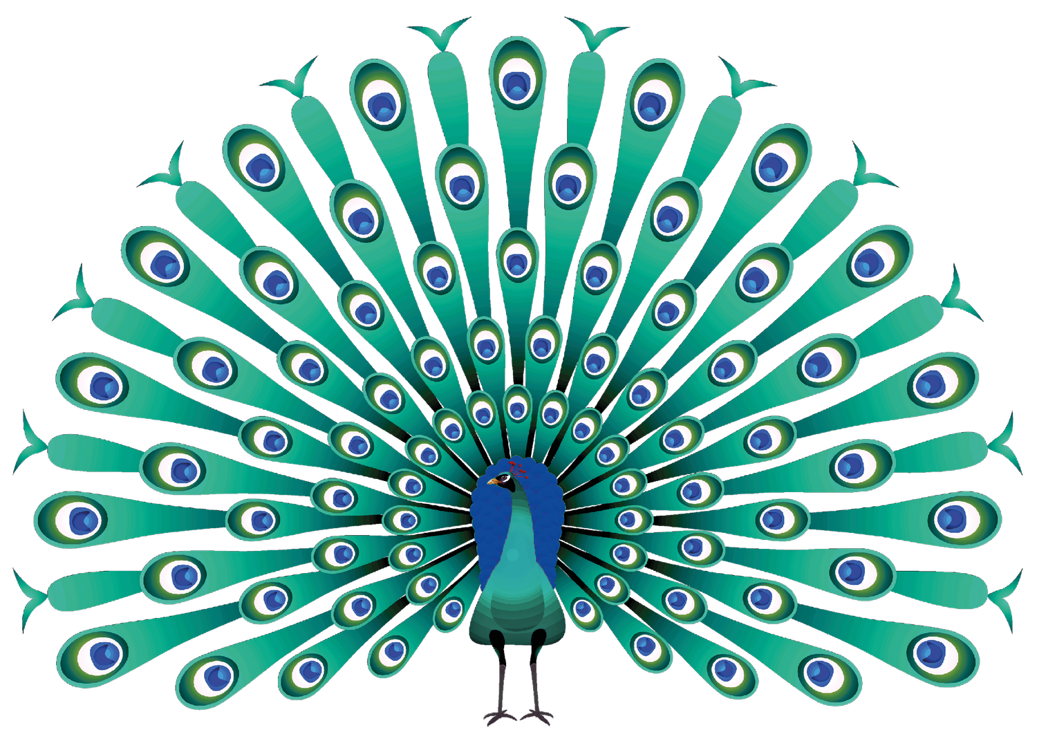 Screaming Peacock