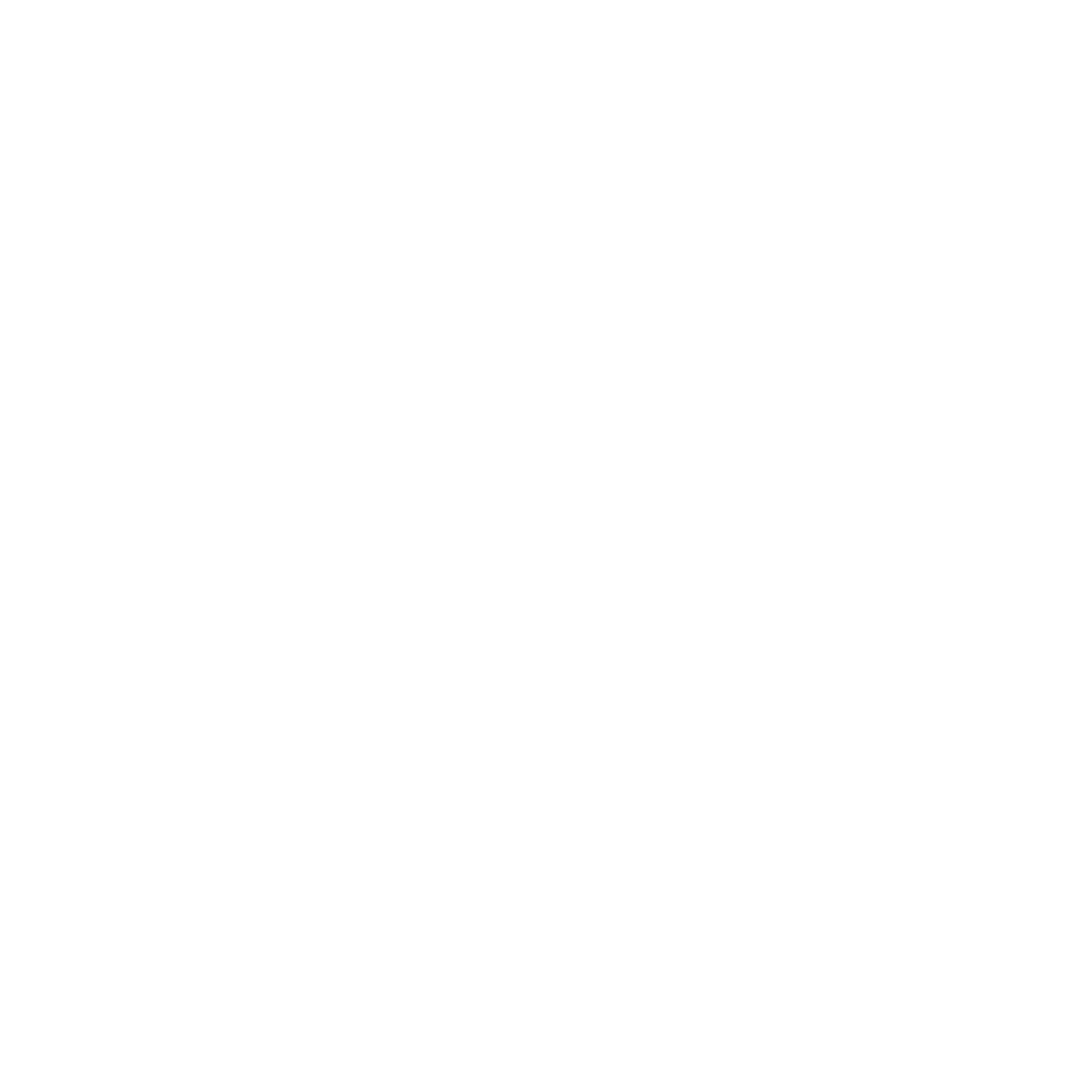 SMP MEDIA INC
