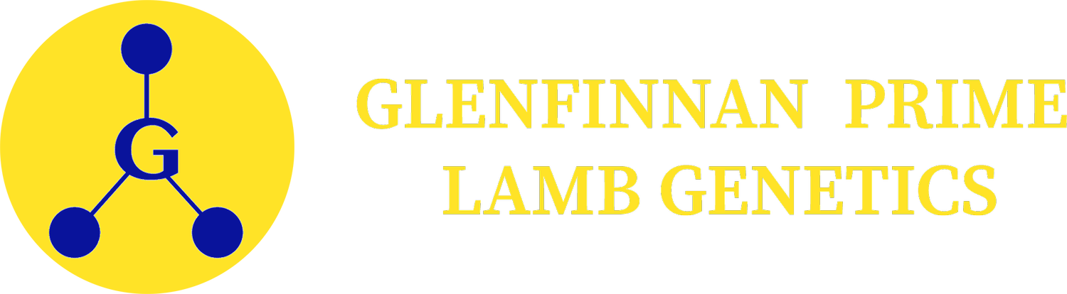 Glenfinnan PLG