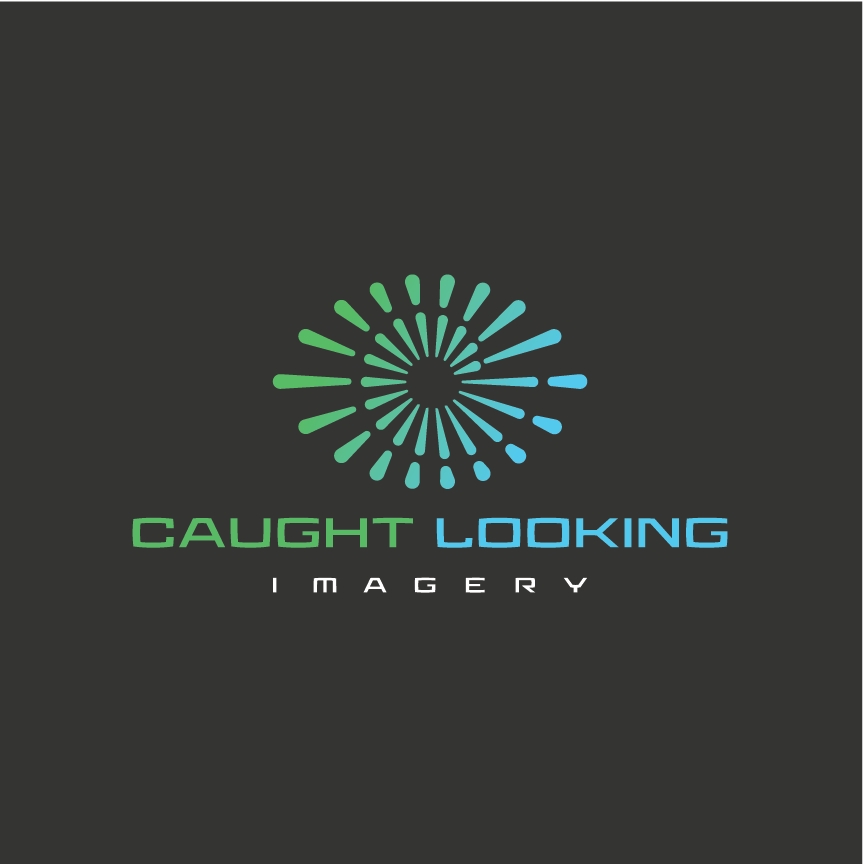 Eric Kerr - Caught Looking Imagery